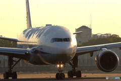 Nice Face☆Boeing 777-200