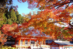 出会い・勝尾寺にて