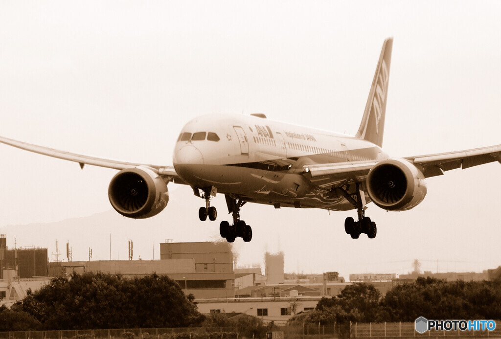 HARADA✈Boeing 787-8 Dreamliner