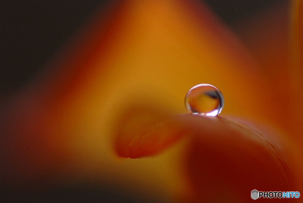 真実の瞳✿麗月の朝