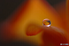 真実の瞳✿麗月の朝