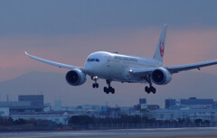 Morning Light 2025✿凛として