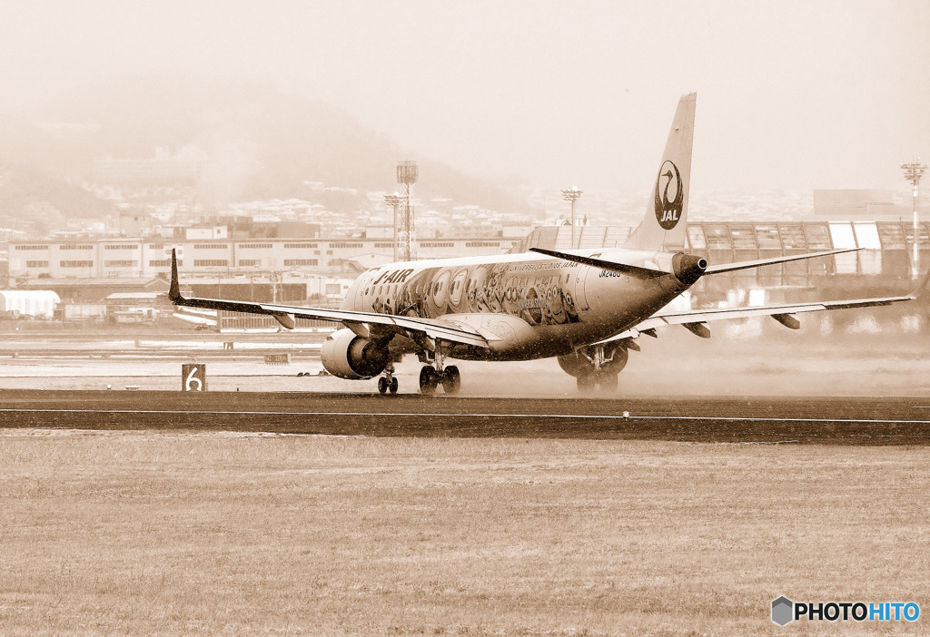 Bliss of time・JA248J