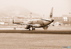 Bliss of time・JA248J