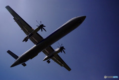 見上げればボンちゃん✈