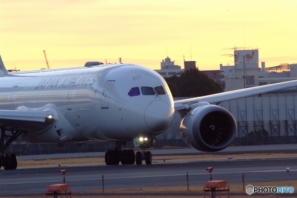 都会のOasis✿Boeing787-8