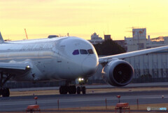 都会のOasis✿Boeing787-8