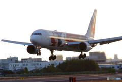 俺の空✈FANTASIA 80