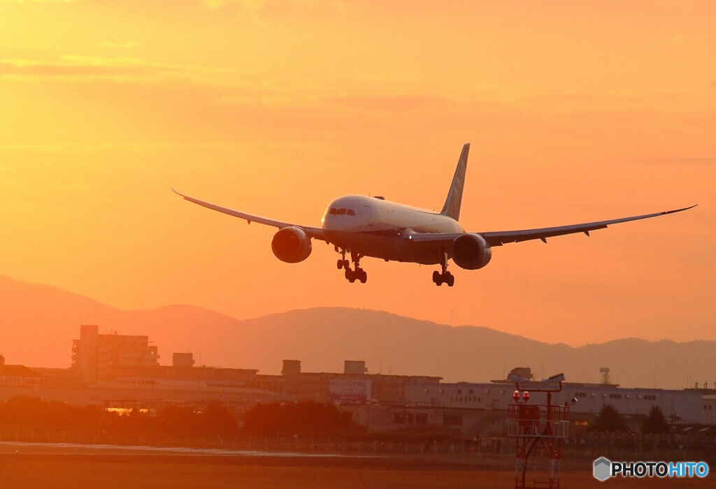 February Showtime✈787