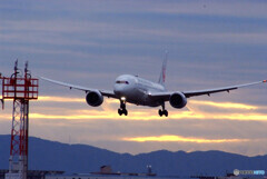 朝焼けに飛ぶ✈Boeing 787-8 朝焼けに飛ぶ✈Boeing 787-8