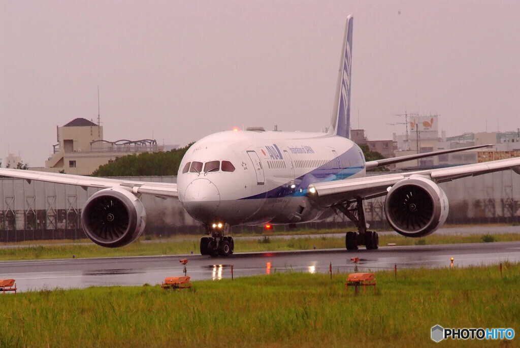 雨のAirportⅢ✈787Dreamliner