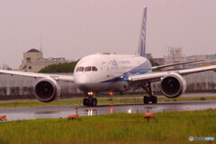 雨のAirportⅢ✈787Dreamliner