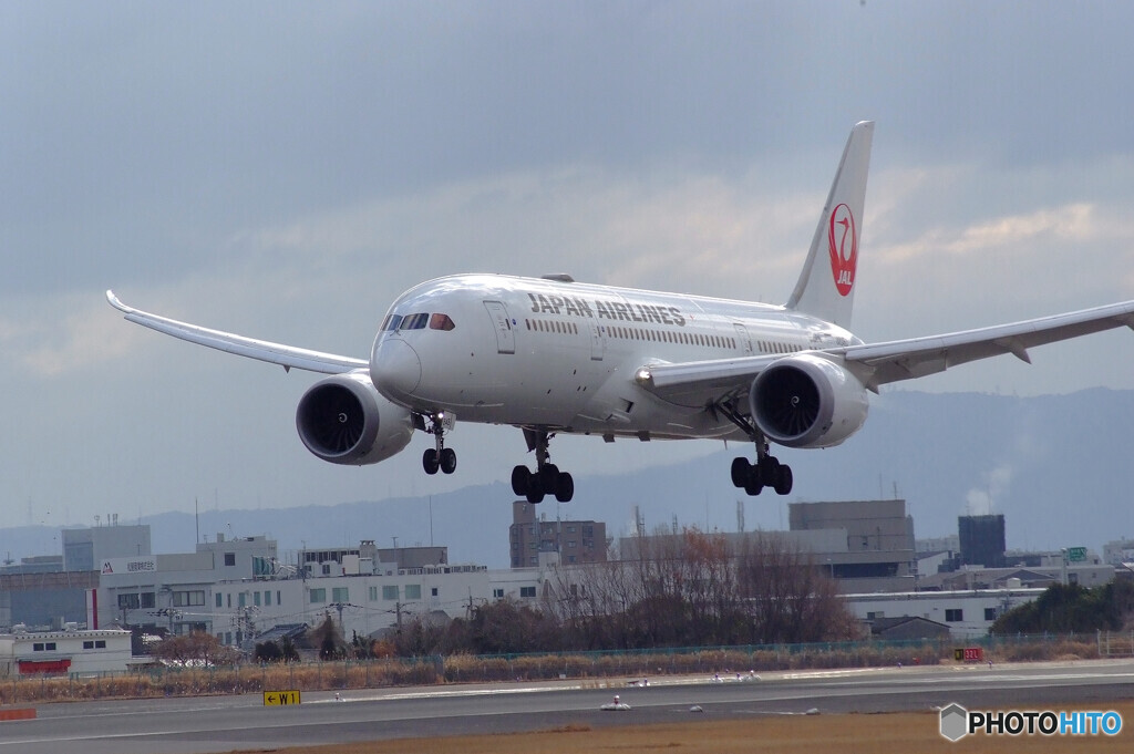 Sunday in FebruaryⅩ☆JALBoeing787-8