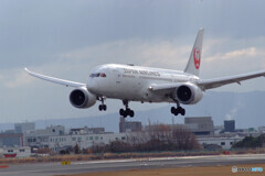 Sunday in FebruaryⅩ☆JALBoeing787-8