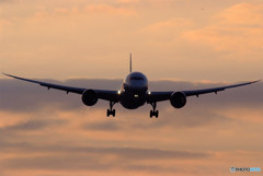 魅せられて・787