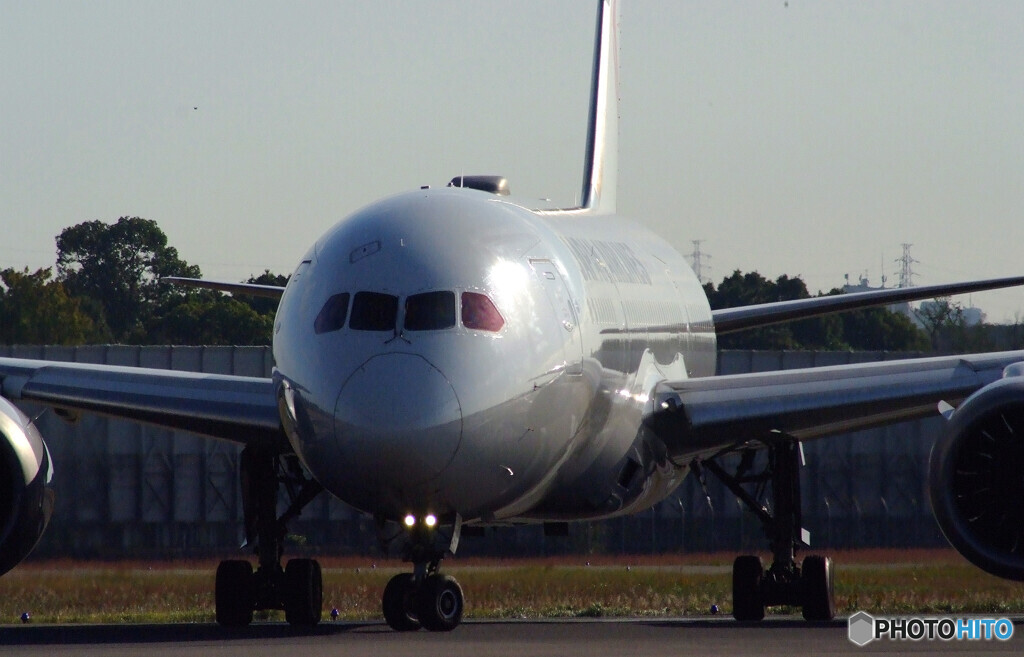 11月の旅路✈Boeing787-8