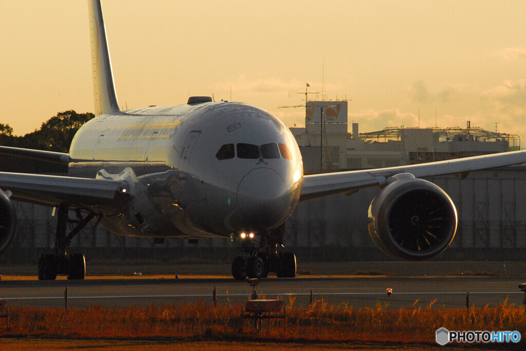 Sunday MorningⅣ✈Boeing787-8