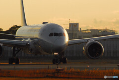 Sunday MorningⅣ✈Boeing787-8