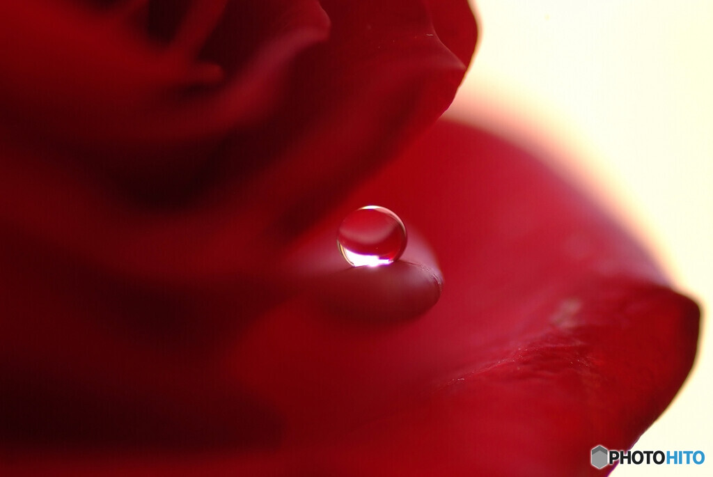 February planet✿雫