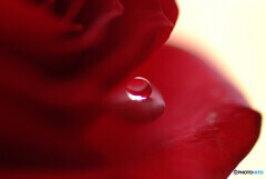 February planet✿雫