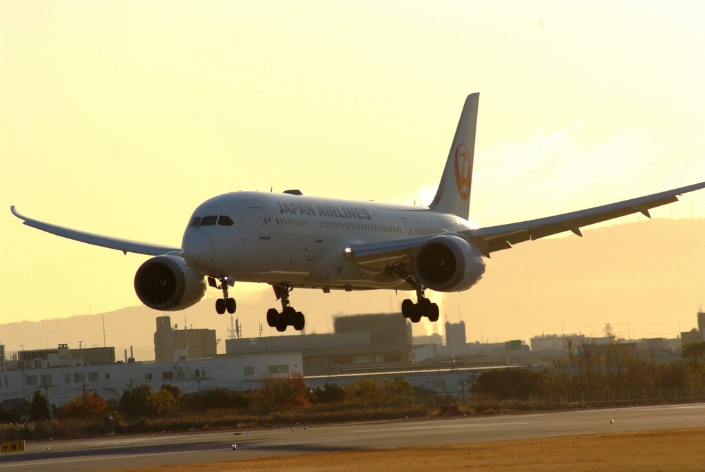 ITMの空へ✿Boeing787-8