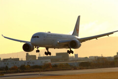 ITMの空へ✿Boeing787-8