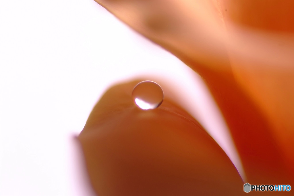 君の瞳に恋してる？