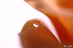 君の瞳に恋してる？