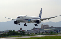 September morning➎★Boeing787-10