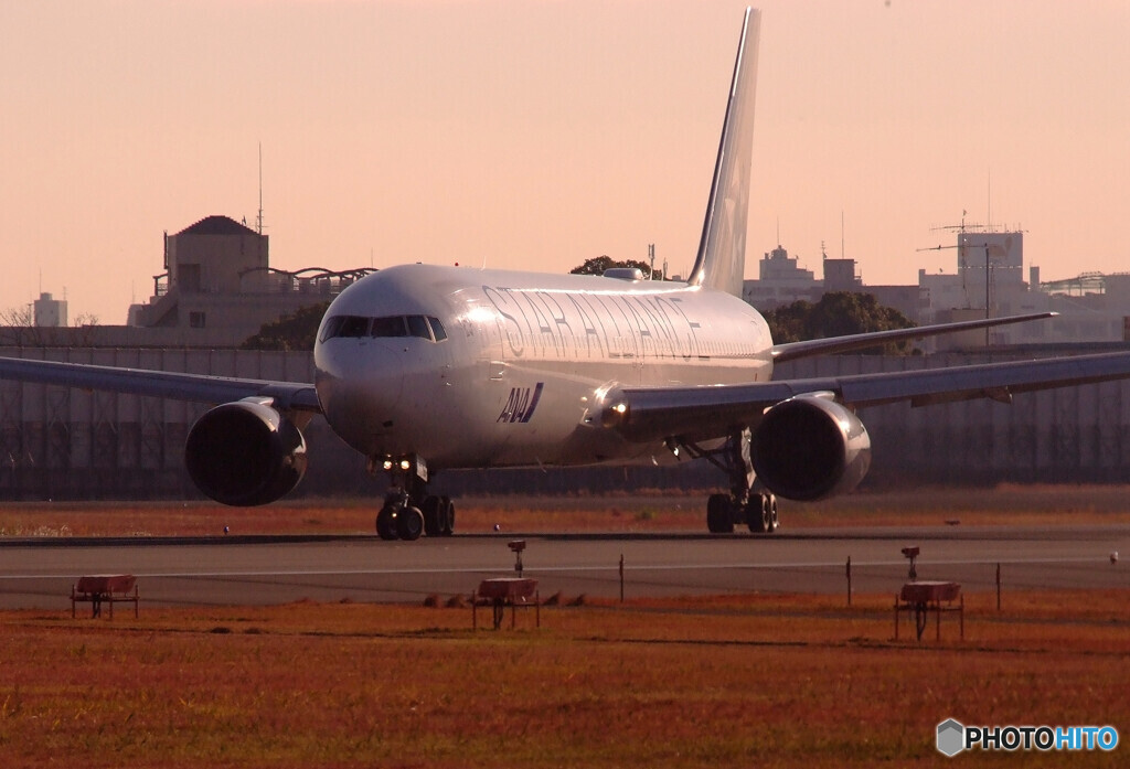 December MorningⅢ✈JA614A