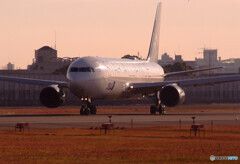 December MorningⅢ✈JA614A