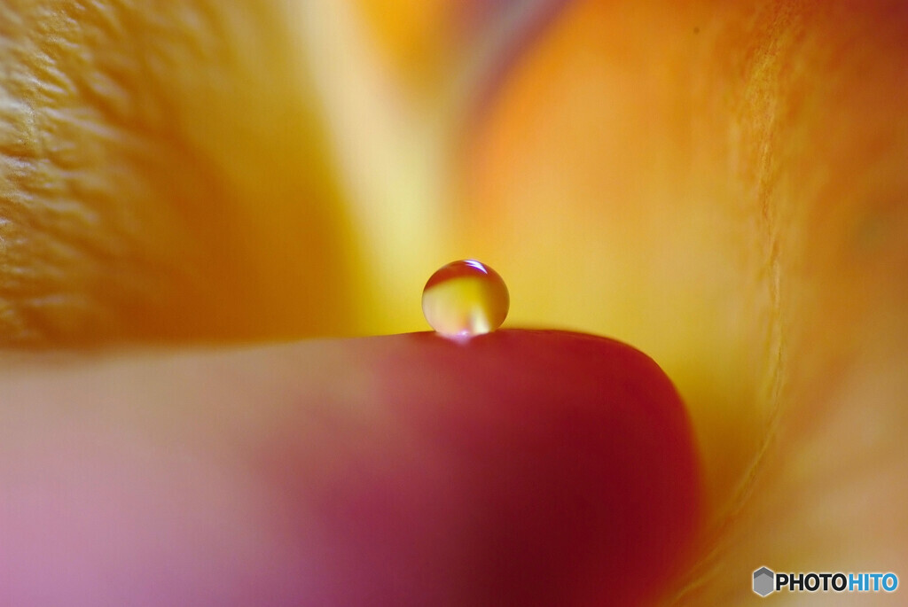 希望の瞳✿如月の朝に