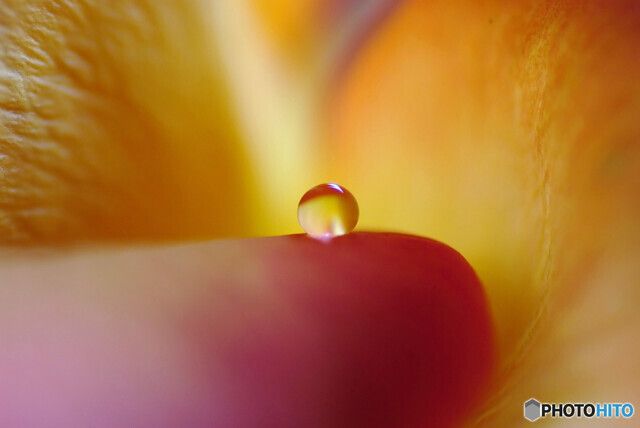 希望の瞳✿如月の朝に