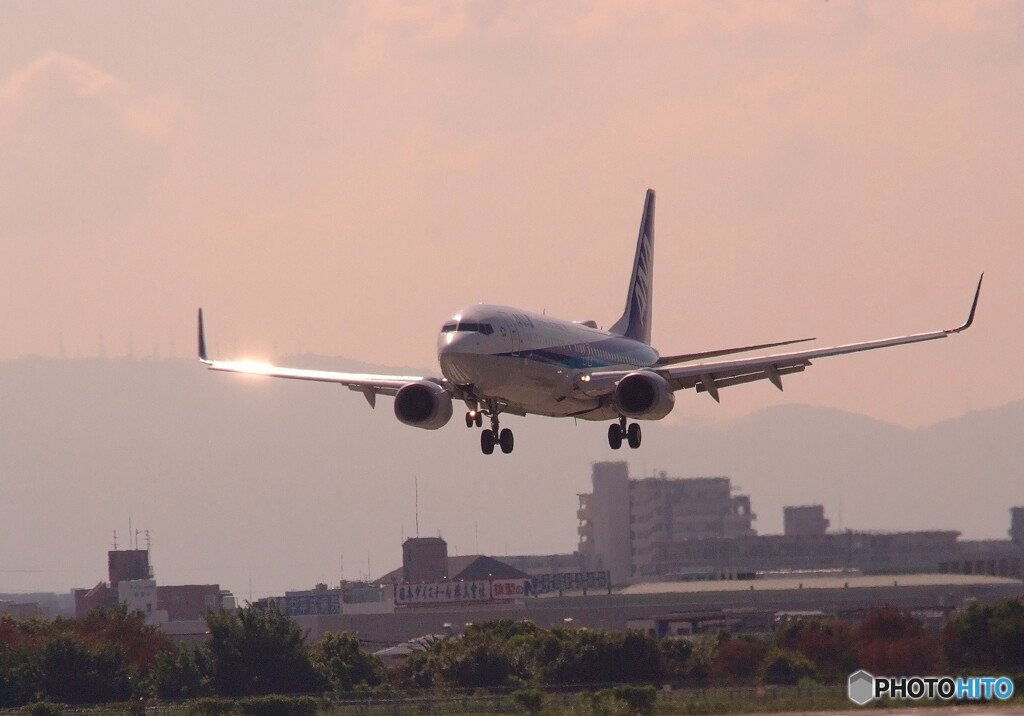 癒しの時間Ⅸ✈2020夏