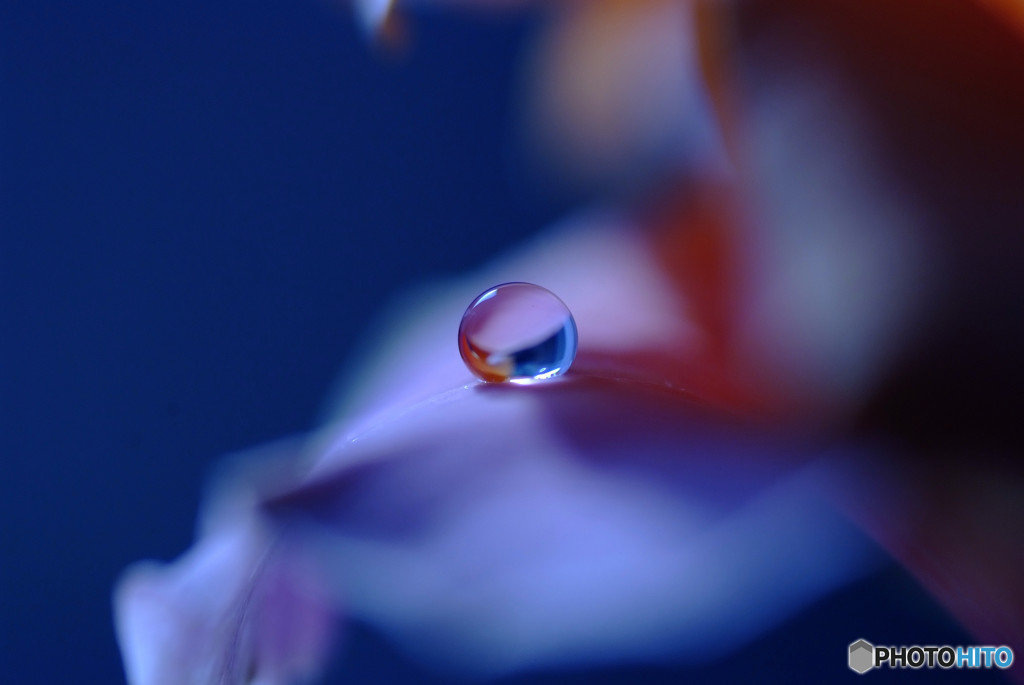 奏・愛しの惑星