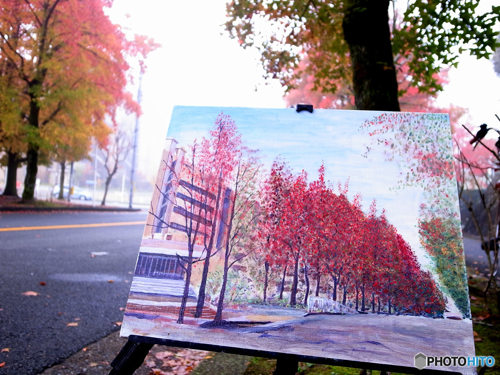 canvaの中の紅葉