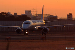 2月の旅人Ⅴ✈Embraer 190