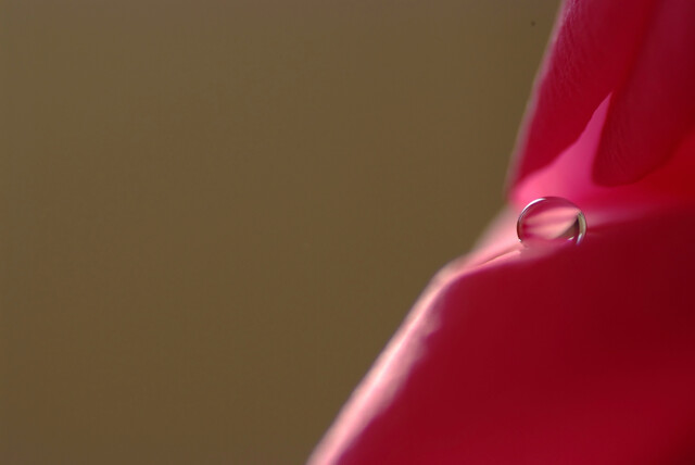 Marbleに恋して✿雫