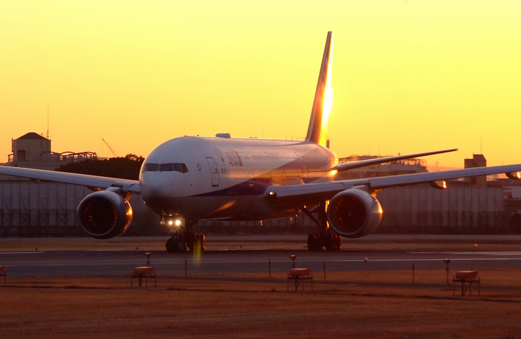 ITMの空へGO！✿Boeing777-200