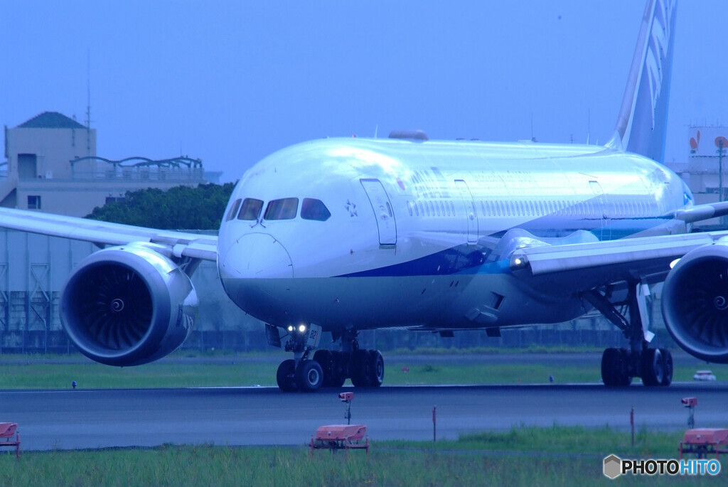 蒼が行く✈Dreamliner