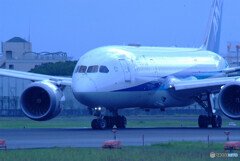 蒼が行く✈Dreamliner