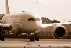 Happy Saturday✈787-8