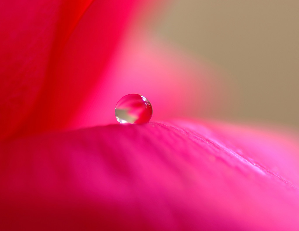 朱の惑星(Ⅱ）雫