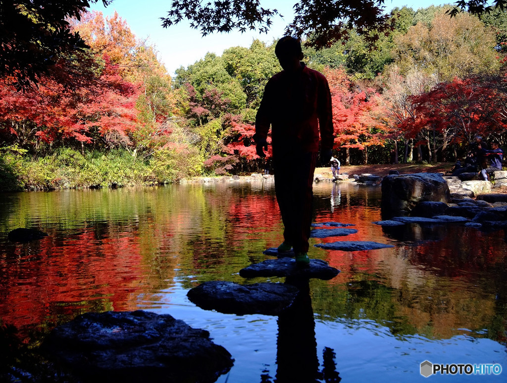 紅葉に佇む男・2015