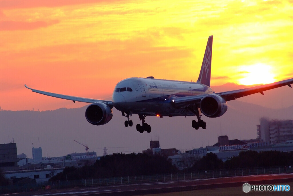 It's Showtime!✈Boeing 787