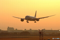 Good Morning✈Boeing787