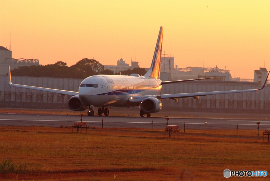 朝焼けのHARADA✈Boeing738