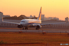 朝焼けのHARADA✈Boeing738