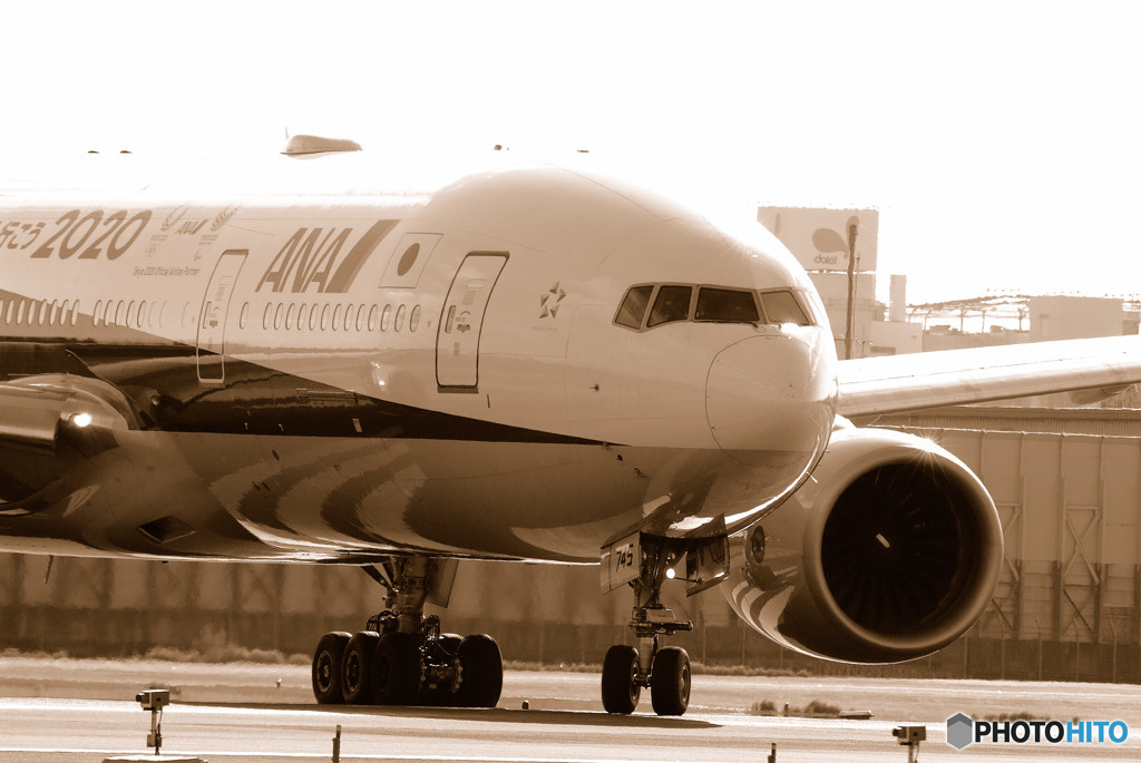 Morning BirdⅧ・2020