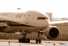 Morning BirdⅧ・2020